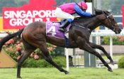 Flax providing Jose Verenzuela with the Group 1 Raffles Cup last October.<br>Photo by Singapore Turf Club